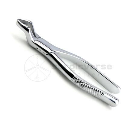 Dental Forceps